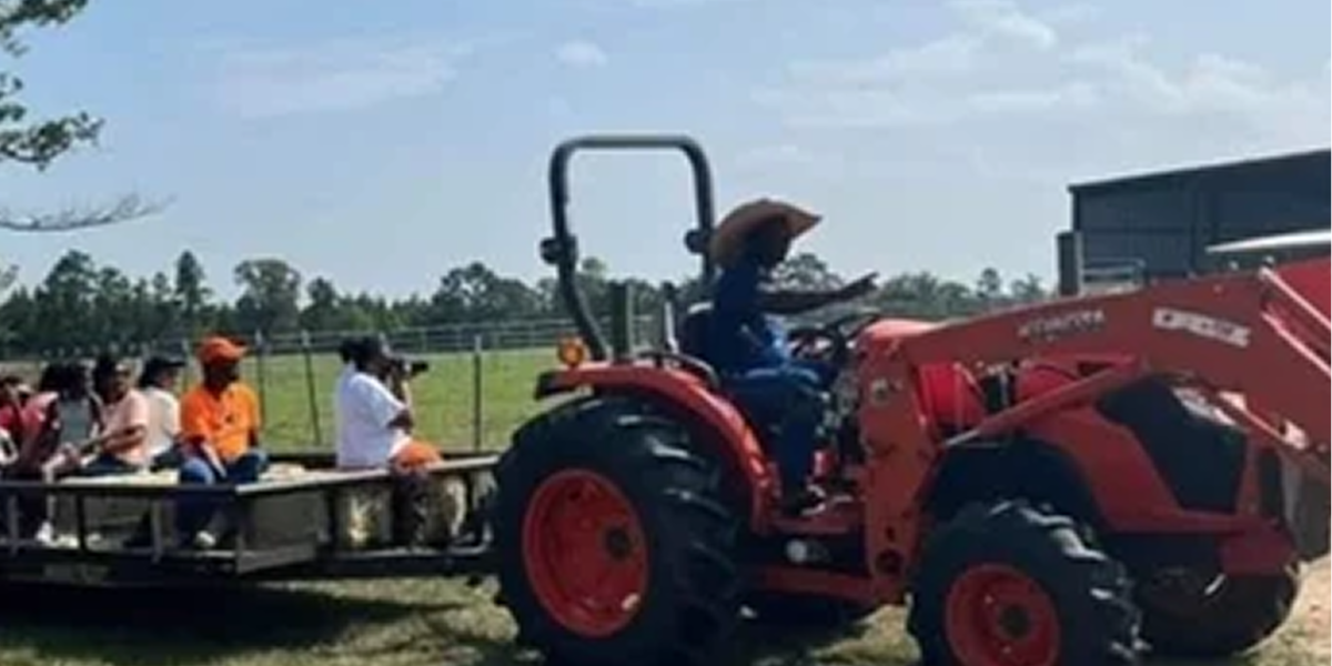 SU Ag Center holds successful St. Helena Agriculture Day Copy Copy