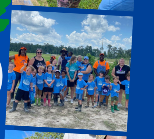 Educational farm tours